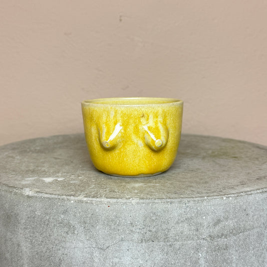 Kop no 31